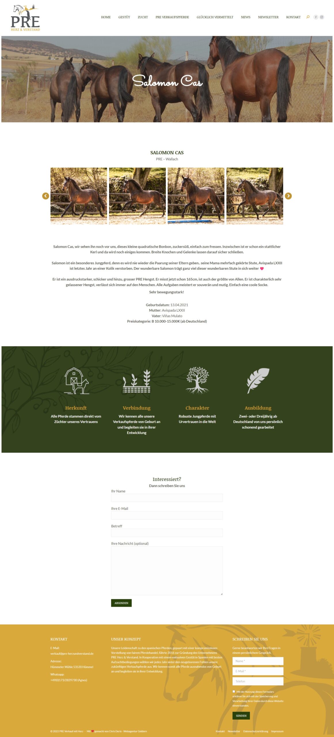 Desktop Website Relaunch Screenshot