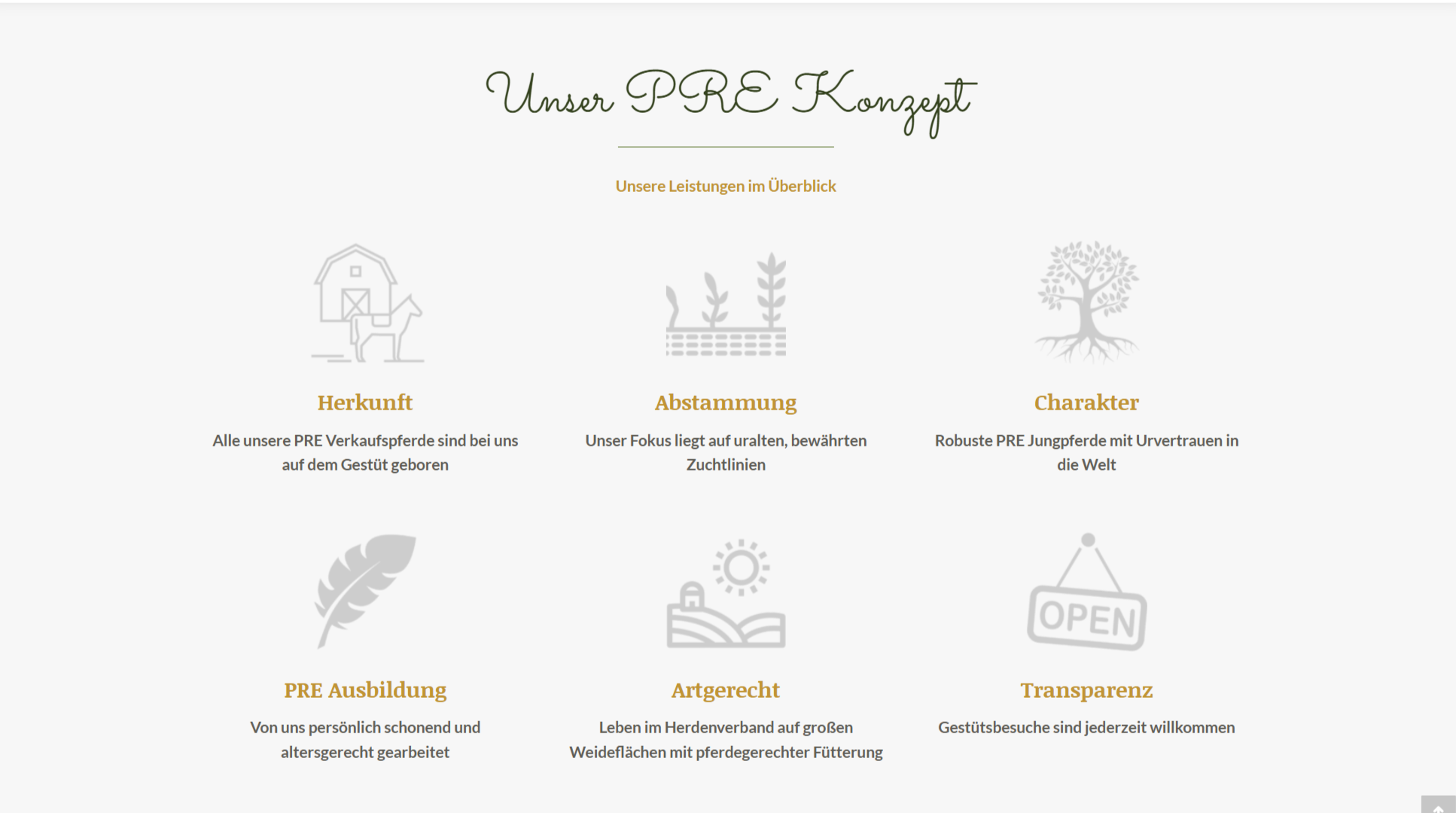 Detail Screenshot UI Elements